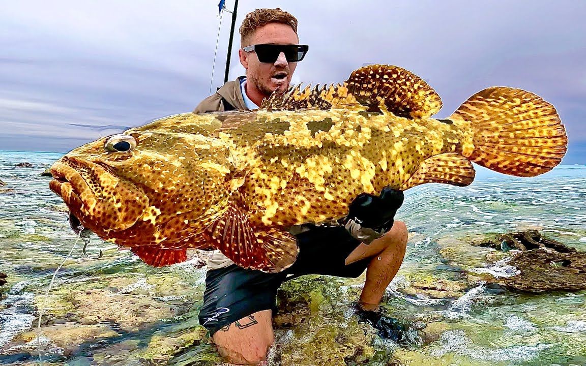 釣魚app軟件下載_下載釣魚網_好釣魚app官方免費下載