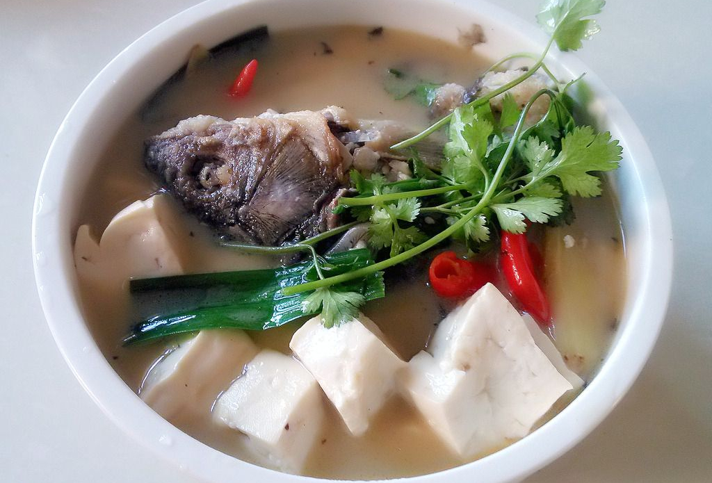 白鯽魚好還是黃金鯽魚好_黃金鯽魚與白鯽魚哪個口感好_白鯽魚和黃金鯽魚區別