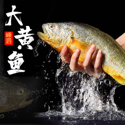 鯽魚的刺多不多_刺鯽魚圖片_刺鯽魚吃什么