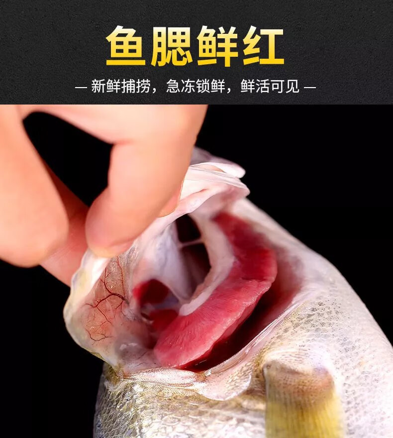 錢鱸魚干咋做_海鱸魚與淡水鱸魚營養價值_鱸魚多少錢一斤
