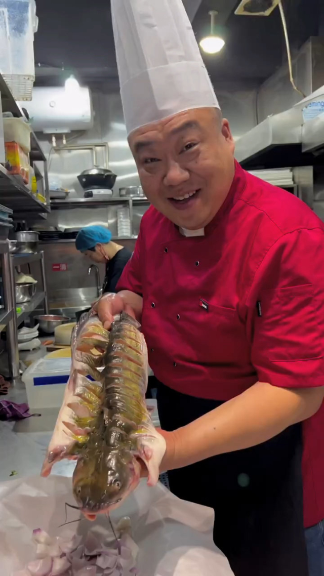 鲅魚和馬鮫魚的區別_鲅魚馬鮫魚區別_怎么區分鲅魚和馬鮫魚
