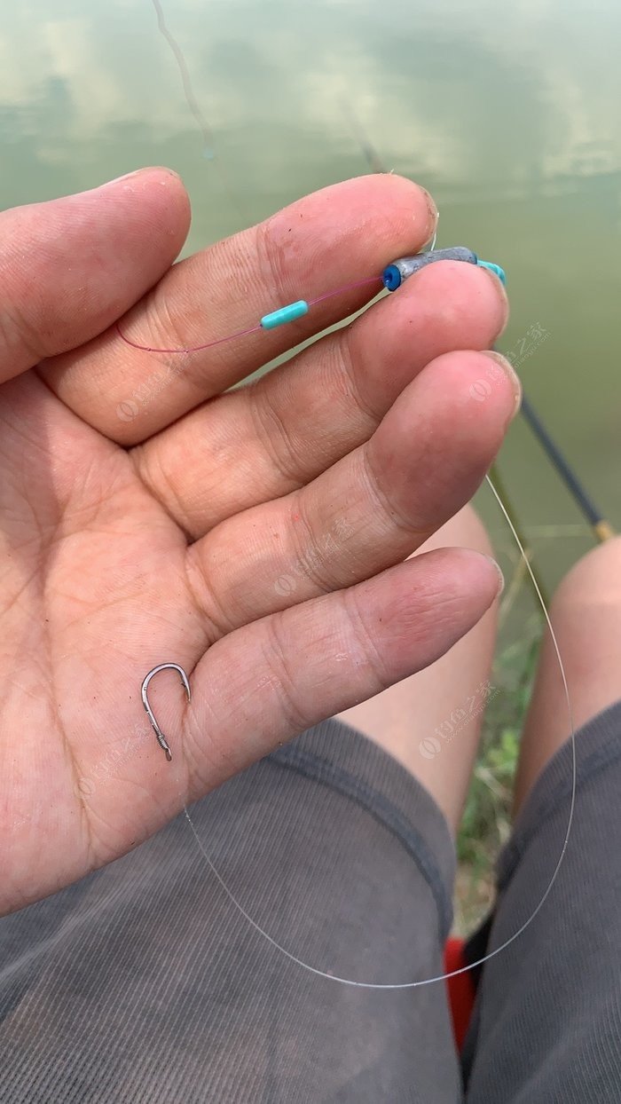 黃金鯽魚餌料系數多高_黃金鯽魚餌料配方視頻_黃金鯽魚餌料配方