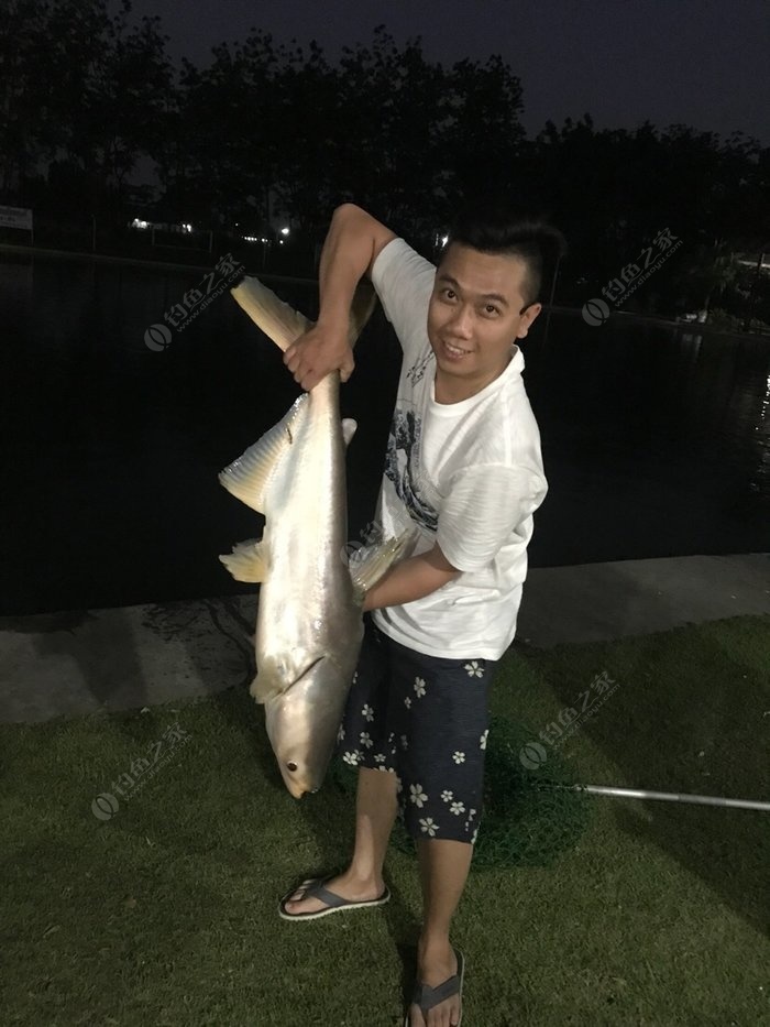 鯪魚餌料配方野釣_鯪魚餌料配方大全_野釣鳊魚餌料配方
