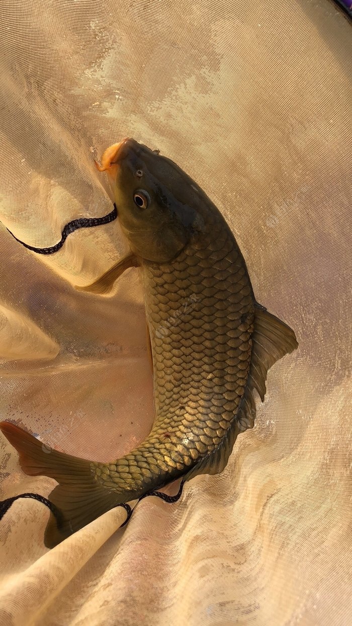 襄陽釣魚網_襄陽釣魚協會網站_湖北襄陽釣魚