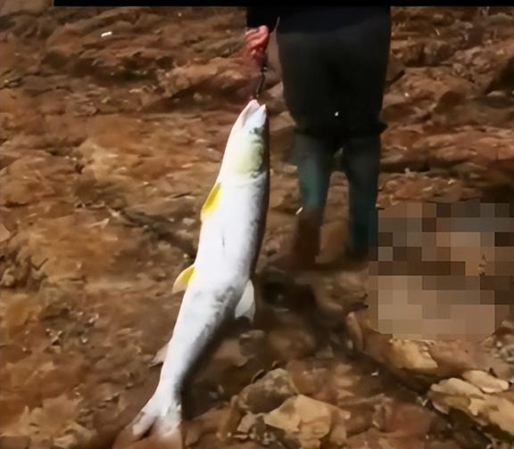 襄陽釣魚網_湖北襄陽釣魚_襄陽釣魚協會網站
