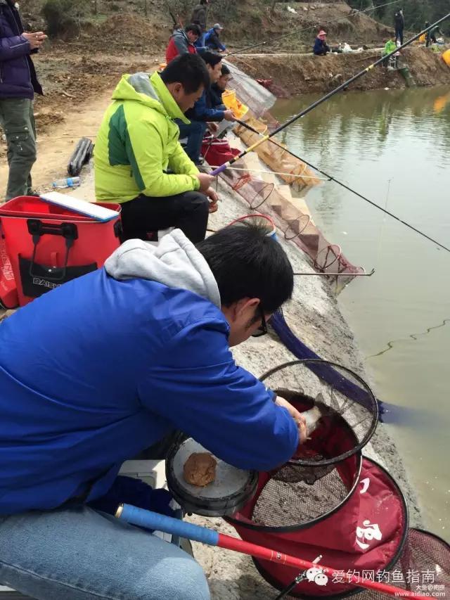 黑坑大棚釣魚視頻_大鵬帶你去黑坑_大鵬帶你去黑坑17