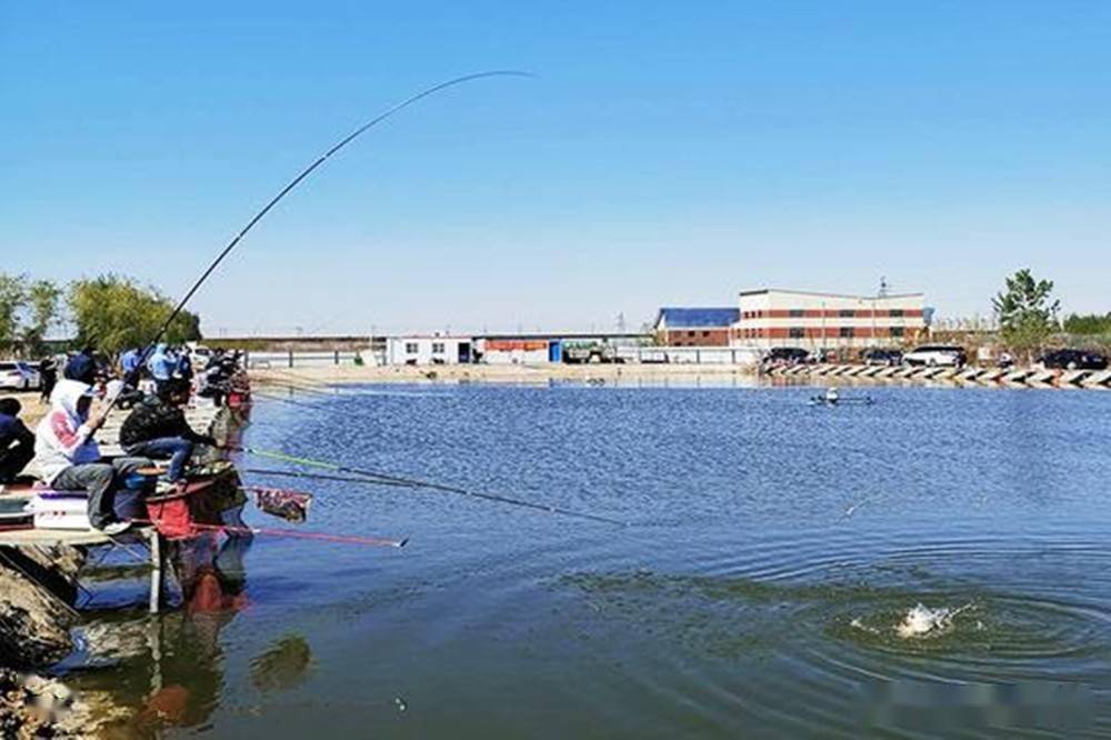 黑坑大棚釣魚視頻_大鵬帶你去黑坑17_大鵬帶你去黑坑