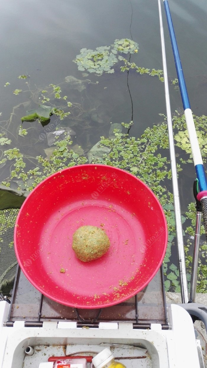 掛鉤顆粒餌料草魚怎么用_掛顆粒釣草魚_草魚餌料顆粒掛鉤