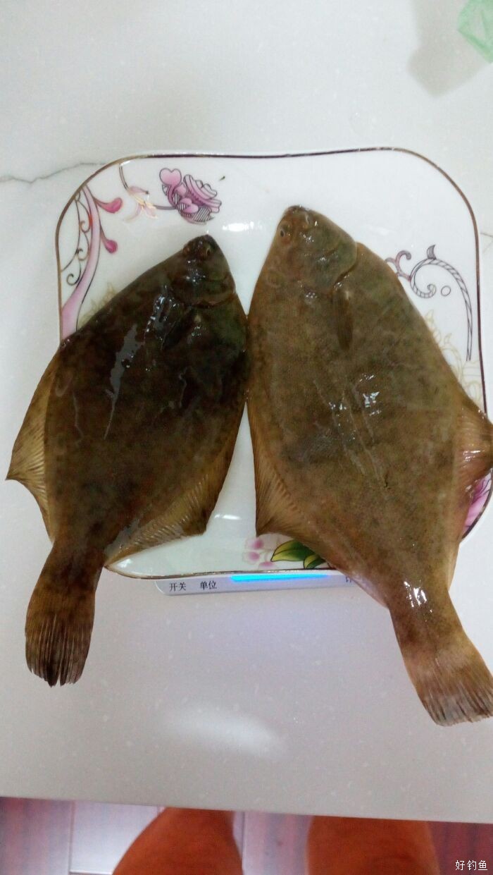下載仿真大型釣魚游戲_仿真釣魚游戲哪個好玩_仿真釣魚游戲手機版