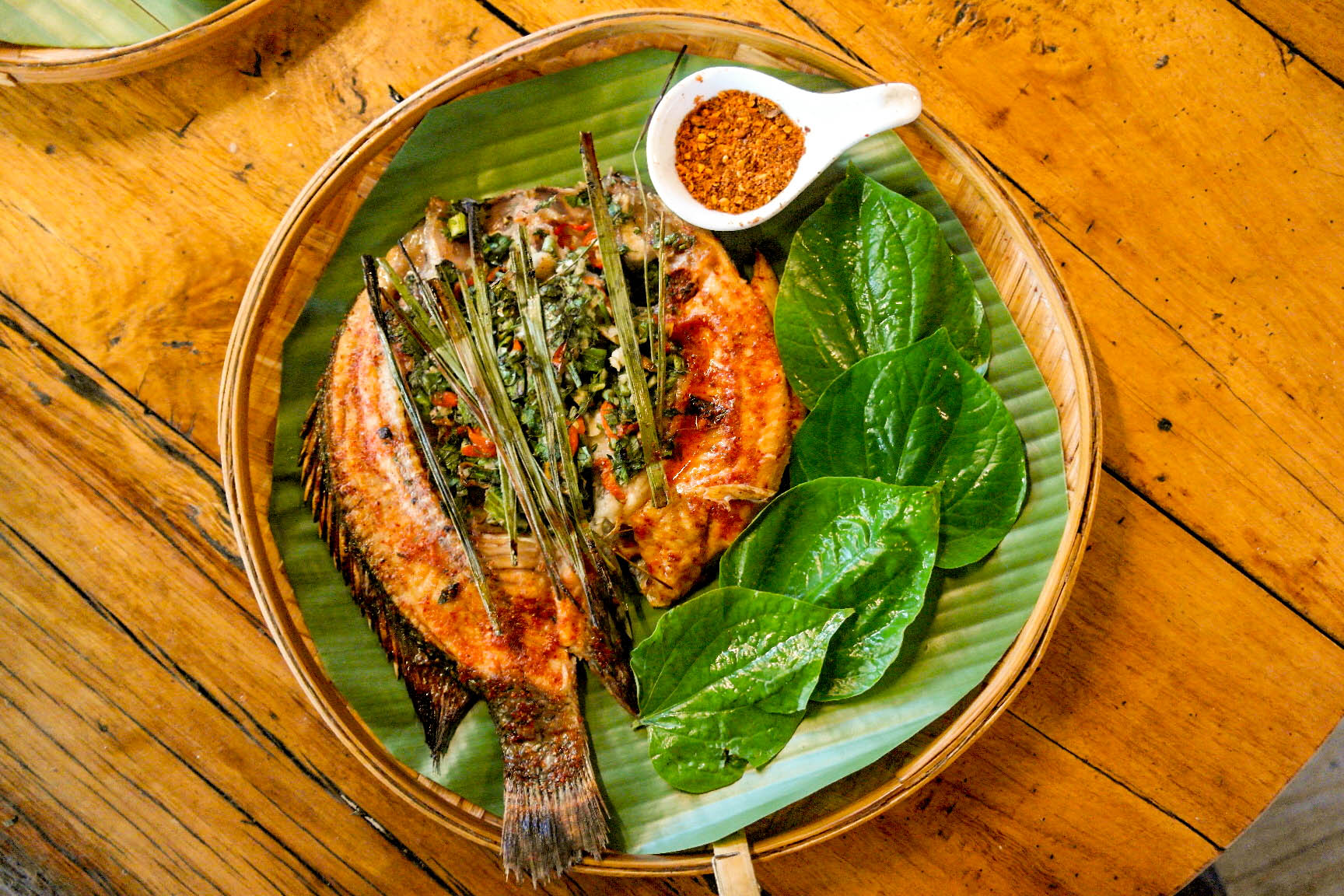 白魚是啥_白魚是什么魚_魚白是魚的哪個部位
