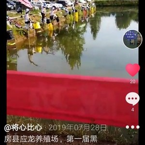 東北冰釣視頻_東北冰釣怎么收費的_東北冰釣魚視頻