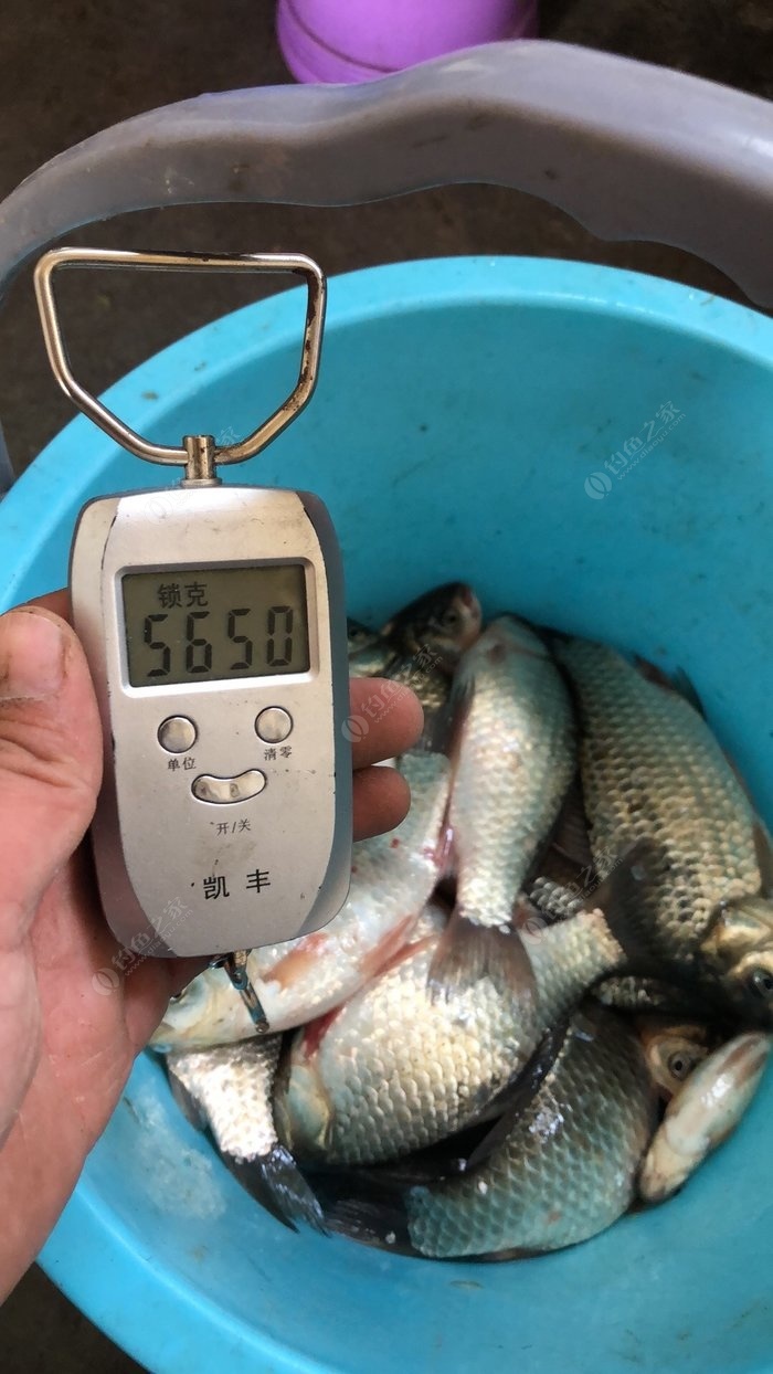 拋竿怎么裝線_拋竿線組組裝方法_拋竿裝線組視頻教程