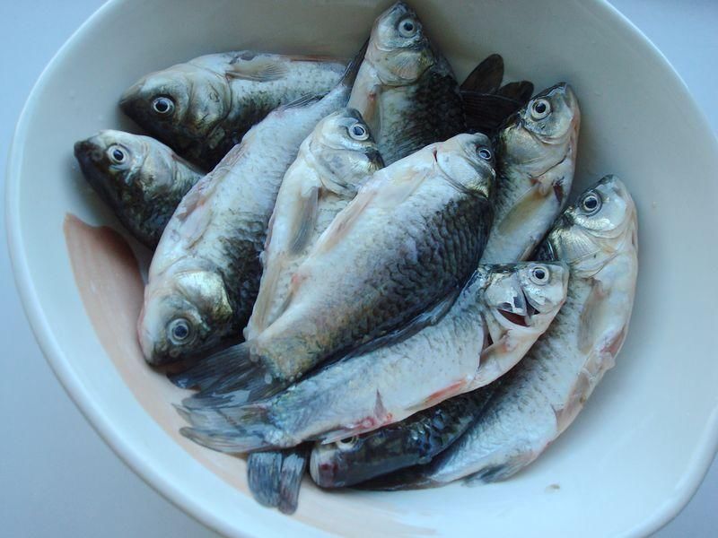好吃煮鯽魚簡單做法大全_好吃煮鯽魚簡單做法視頻_煮鯽魚怎么做好吃又簡單