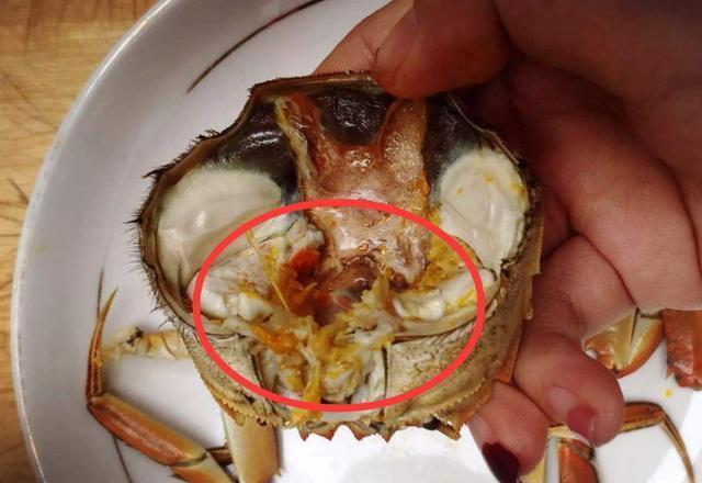 螃蟹的血是什么顏色的_螃蟹血顏色是什么顏色_螃蟹血顏色是黑色的嗎