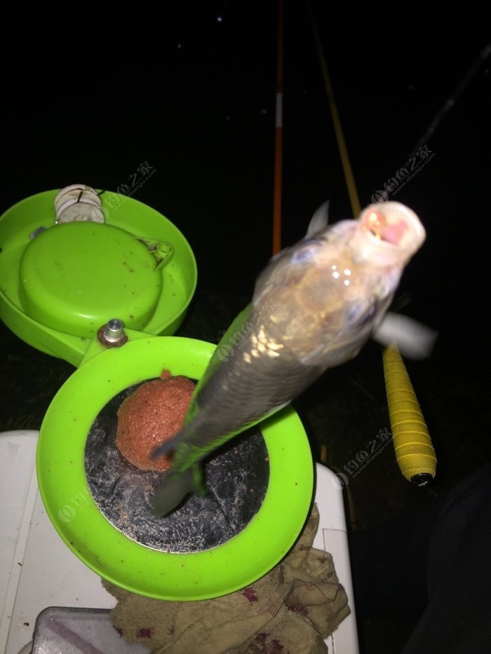 朝天魚鉤的綁法圖解_朝天鉤如何綁魚線_朝天鉤簡單綁法