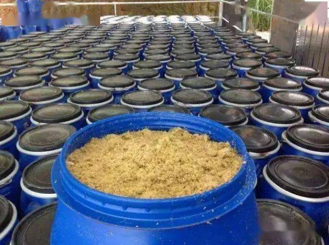 自制魚餌配方大全_自制配方大全魚餌怎么做_自制魚餌配方大全視頻教程