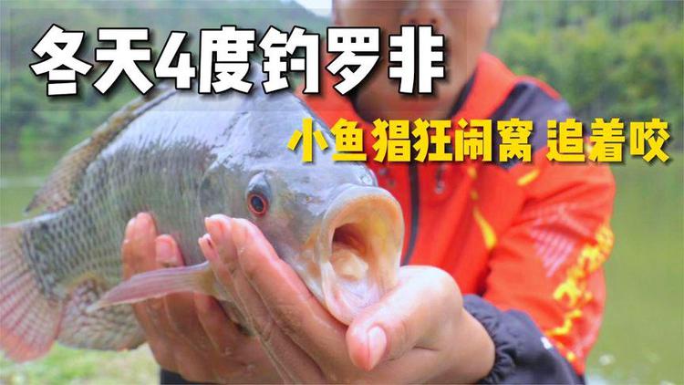 釣翹嘴教學視頻_釣翹嘴手法_翹嘴魚的釣法