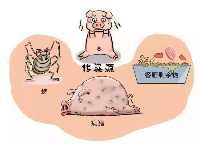 養殖七星魚喂什么食物_七星魚養殖_養殖七星魚怎么繁殖