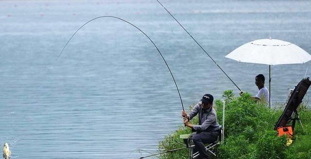 垂釣鯽魚的技巧_垂釣鯽魚技巧視頻教程_鯽魚的垂釣技巧