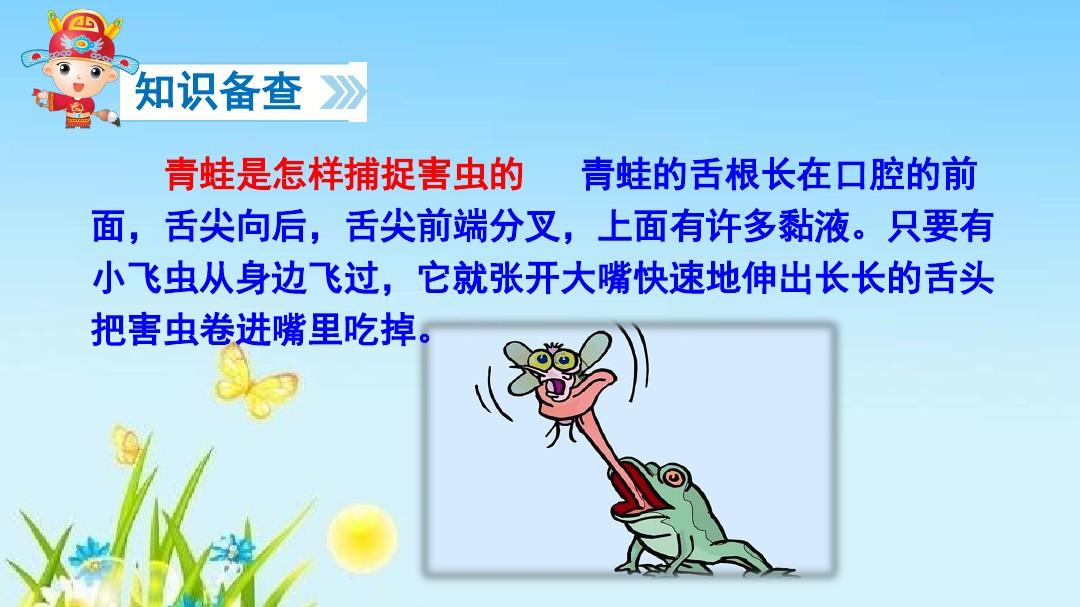 青蛙的資料_青蛙的資料_青蛙的資料