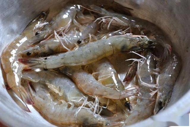 龍蝦害處_龍蝦對身體有什么不好_小龍蝦的危害
