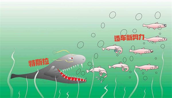 什么是鯰魚效應_鯰魚效應等各種效應_鯰魚效應吧