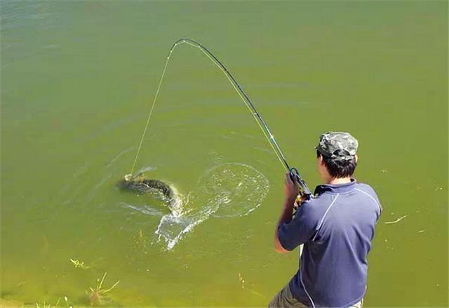 深秋釣鯽魚_深秋釣大鯽魚_深秋野釣鯽魚