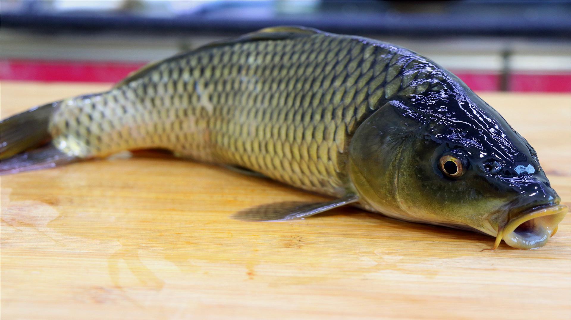 芙蓉鯽魚做法視頻_芙蓉鯽魚的做法_芙蓉鯽魚做法大全