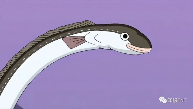 深海魚類大全看圖識魚_深海魚類品種大全_深海魚類