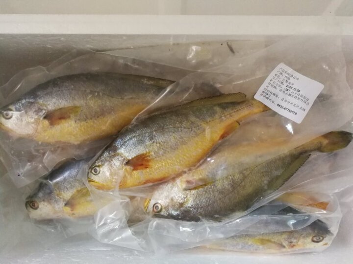 鱖魚石斑魚哪個好吃_鱖魚石斑魚哪個貴些_石斑鱖魚