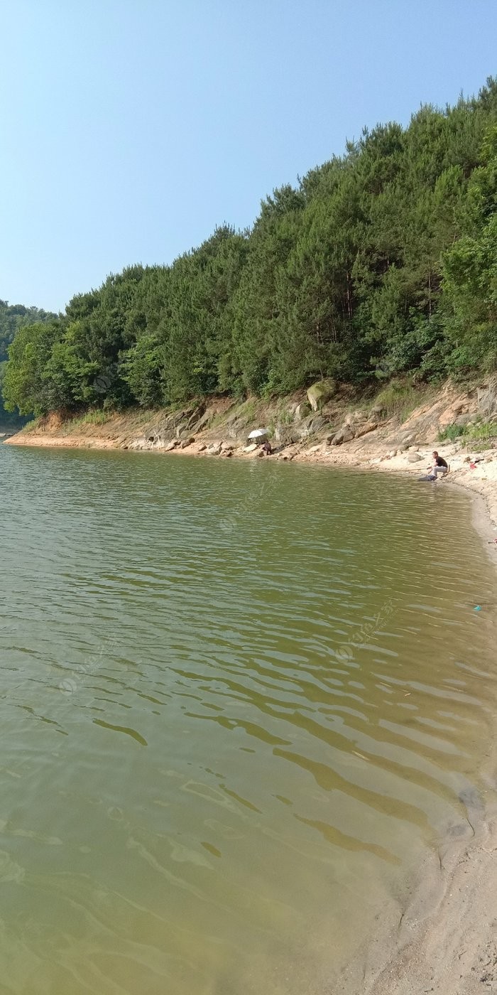 水庫釣大魚_釣水庫大魚實用技術_釣水庫大魚用什么樣的魚竿
