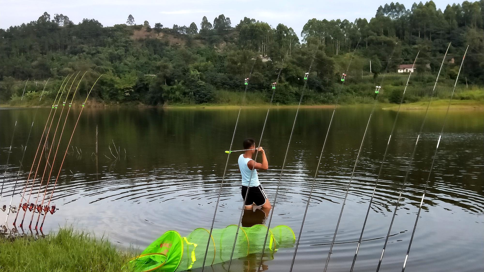 釣水庫大魚用什么樣的魚竿_水庫釣大魚_釣水庫大魚實用技術