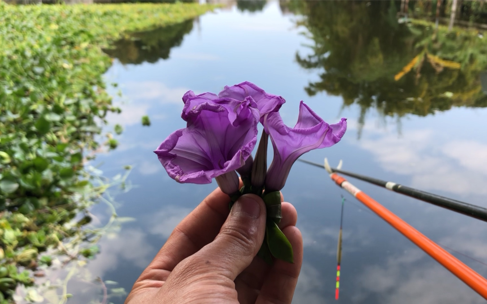水庫釣魚教程_釣魚水庫技巧和方法_水庫釣魚技巧