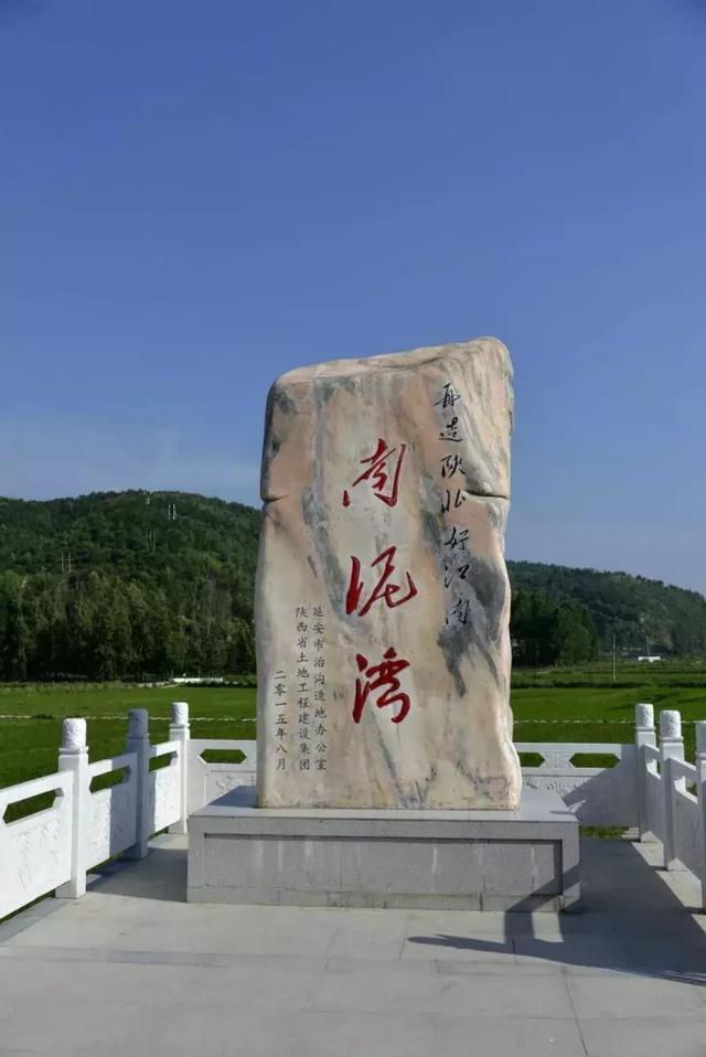 藍鯨吃什么主食_藍鯨吃什么食物_藍鯨吃啥