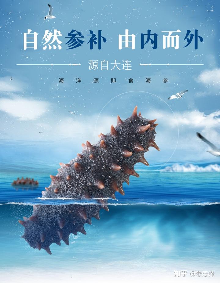 海參每天吃好嗎_海參需要每天吃嗎_每天海參吃需要加熱嗎