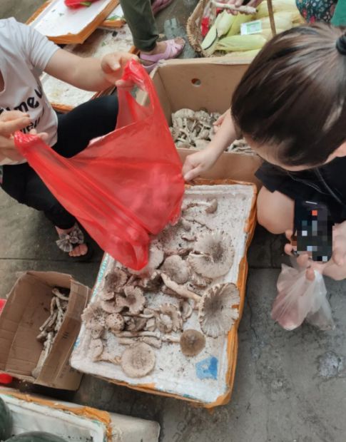 家常鯽魚湯的做法_家常鯽魚_家常鯽魚怎么做好吃
