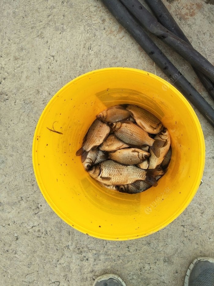 釣草魚怎樣調魚漂調漂最準確_如何釣草魚_釣草魚的方法和技巧