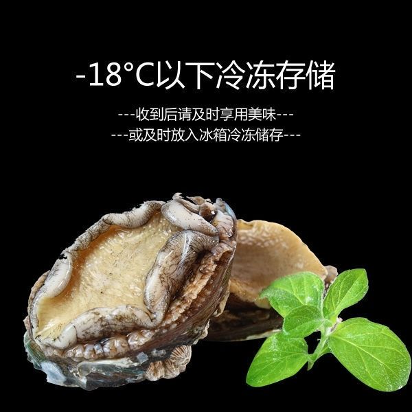 蒸鮑魚需要多長_鮑魚蒸多長時間_蒸多長鮑魚時間能熟