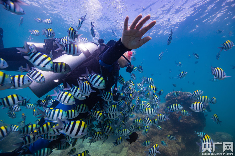 深海釣魚_釣魚深海巨獸_釣魚深海一號在哪兒釣