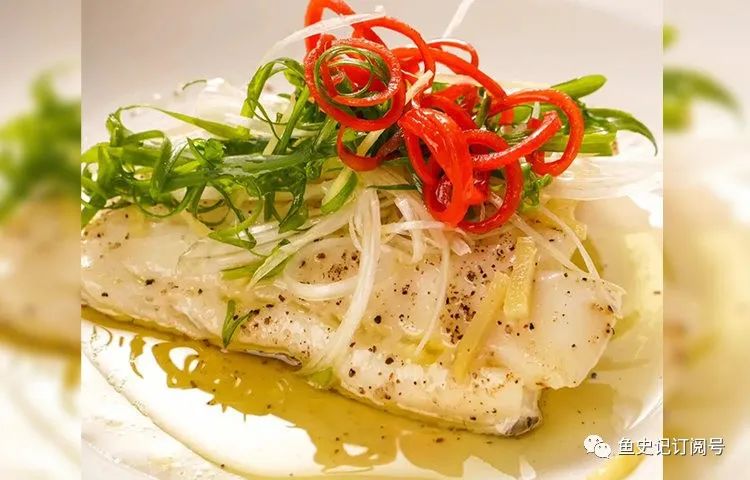 石斑魚價格多少錢一斤_最值錢的石斑魚_石斑魚價格2020年