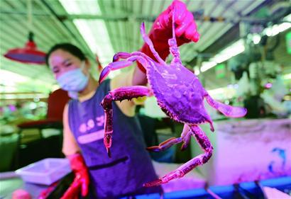 小黃魚價格_黃魚價格_小黃魚的價格