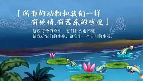 放生鯉魚的好處_鯉魚放生會破壞生態嗎_鯉魚放生有什么意義