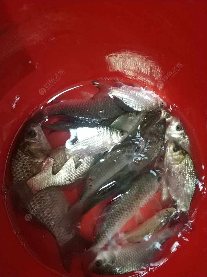 海釣經驗_海釣秘籍_海釣經驗分享