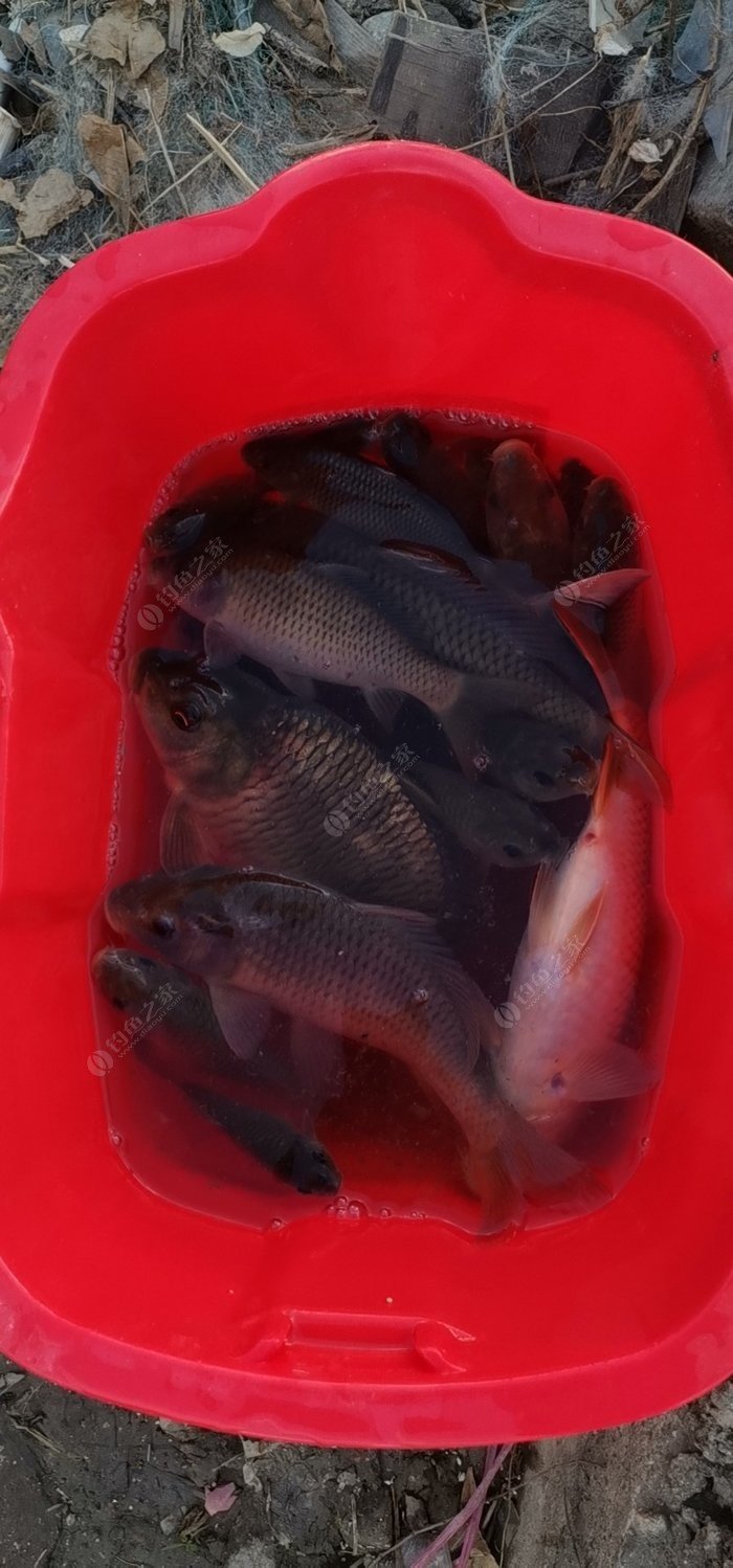 海釣經驗分享_海釣經驗_海釣秘籍