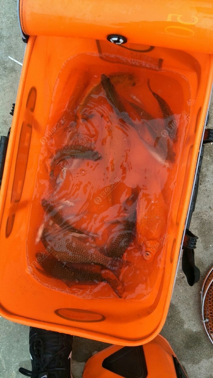 海釣經驗_海釣秘籍_海釣經驗分享