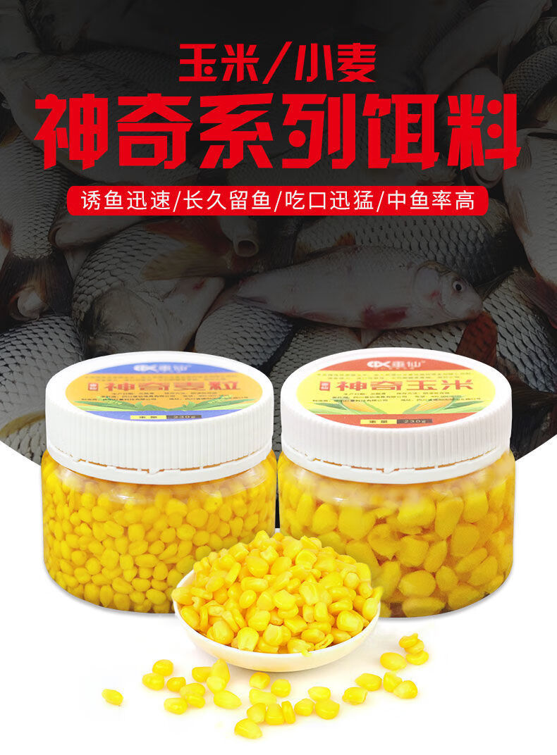 玉米鯉魚配方餌料怎么配_鯉魚餌料配方玉米_玉米鯉魚窩料秘方