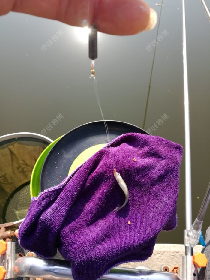 奧西尼是哪里的漁具品牌_漁具品牌_漁具品牌十大排行榜