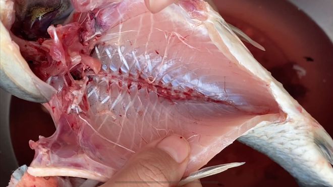家常鯽魚的做法最正宗的做法_家常鯽魚_家常鯽魚圖片