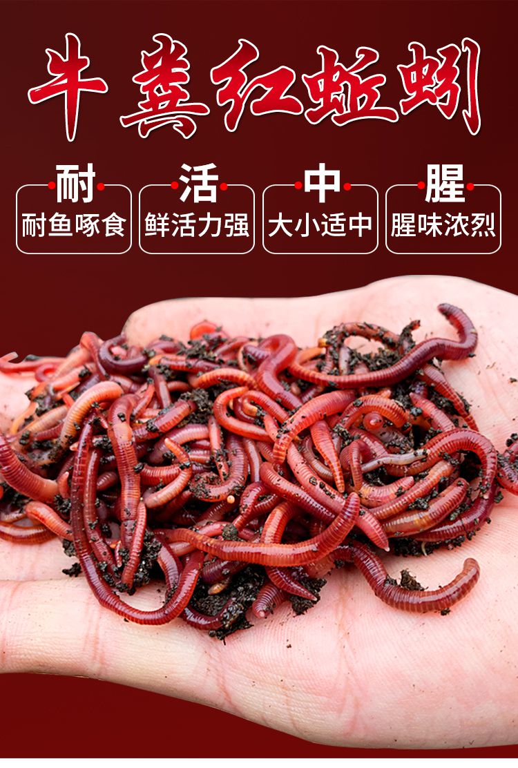 配方大全魚餌圖片_配方大全魚餌怎么做_魚餌配方大全