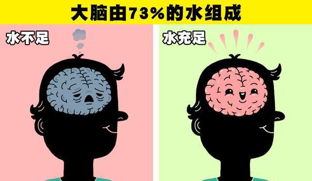 斑馬魚怎么養_養斑馬魚需要加熱嗎_養斑馬魚三忌